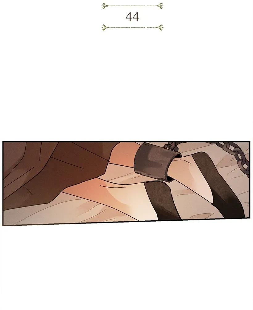 44 442